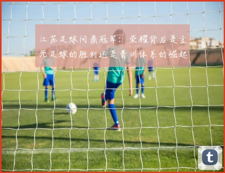 江苏足球问鼎冠军:荣耀背后是金元足球的胜利还是青训体系的崛起?