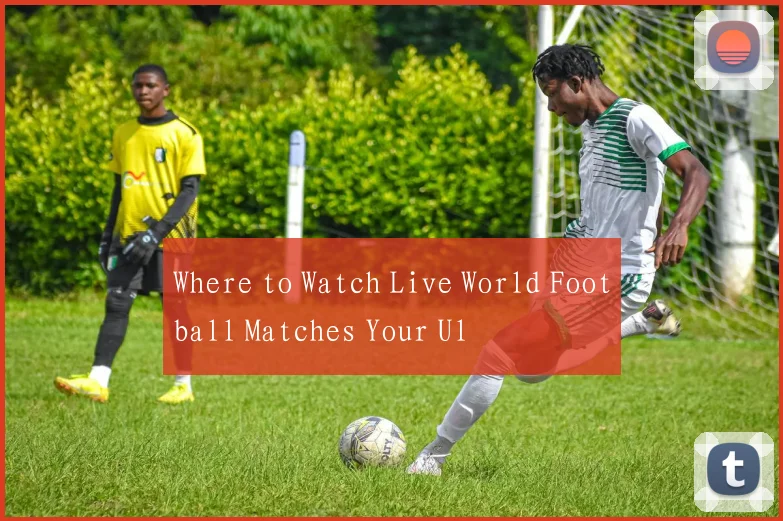 Where to Watch Live World Football Matches Your Ul