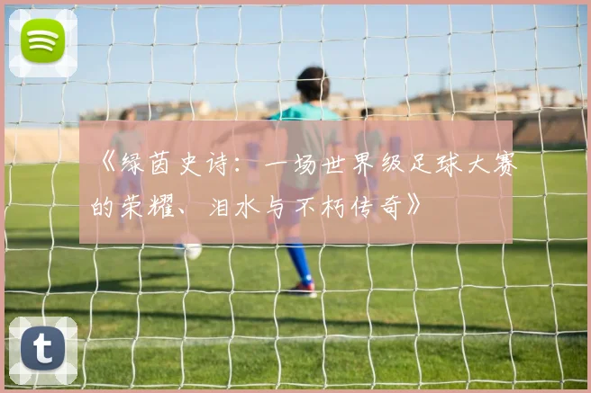 《绿茵史诗：一场世界级足球大赛的荣耀、泪水与不朽传奇》