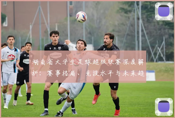 湖南省大学生足球超级联赛深度解析:赛事格局、竞技水平与未来趋势_20260613172914